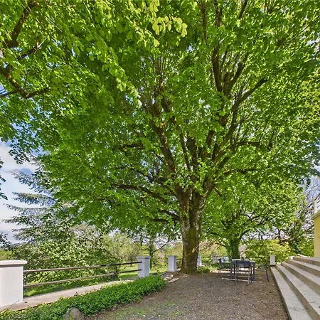 Grand Jardin Et Terrasse - Maison Pour 7 Hébergement de vacances *